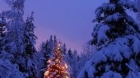 Un Natale di speranza - 25 dicembre 2011 - Canto di Sion